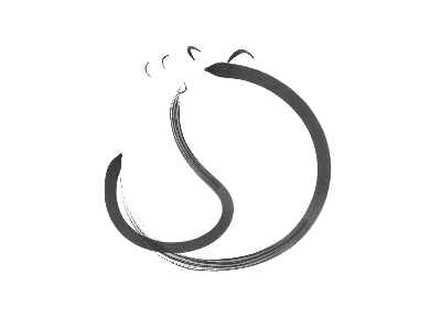a cat chasing its own tail