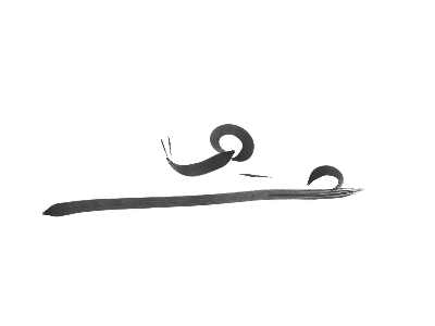 a snail leaving without hurry