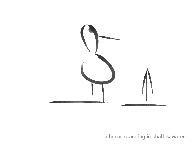a heron standing in shallow water