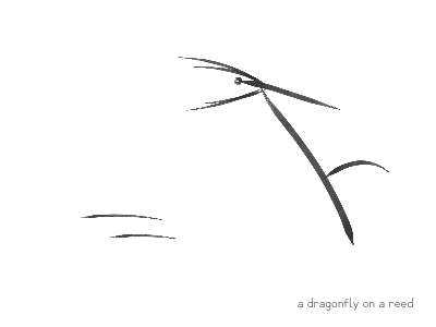 a dragonfly on a reed