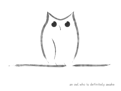 an owl who is definitely awake