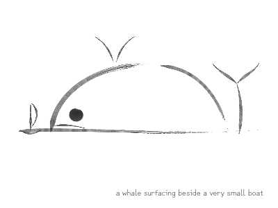 a whale surfacing beside a very small boat