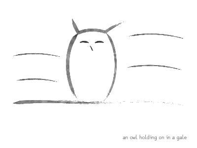 an owl holding on in a gale