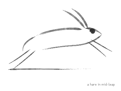 a hare in mid-leap